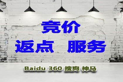 SEM广告投放的技巧与策略——成功案例分享