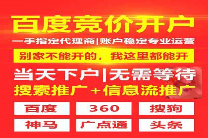 揭秘SEM搜索引擎优化成功案例，助您优化策略